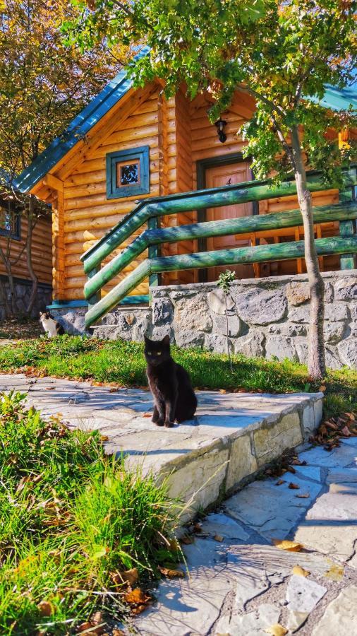 Kozak Apartments & Restaurant Mojkovac Dış mekan fotoğraf